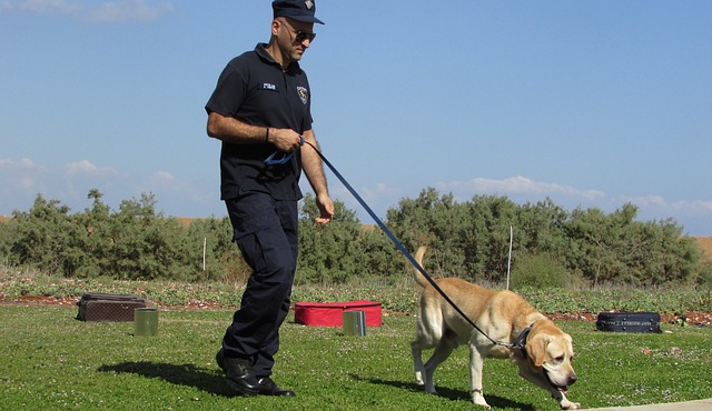 Accelerant Detection Canines aid law enforcement in detecting arson and catching culprits. 